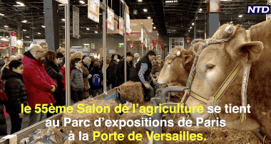 , 大型聚众吃吃喝喝，撸小动物，看牛中缪斯的法国农业展又来啦！, My Crazy Paris