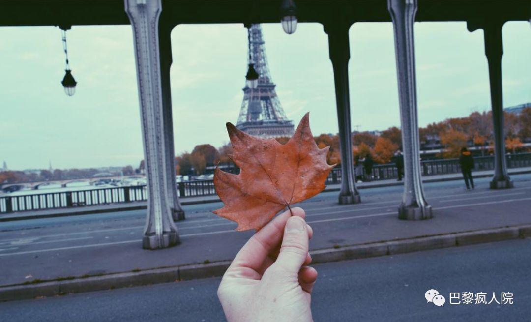, 巴黎秋天，想要一次最美季节的邂逅……, My Crazy Paris
