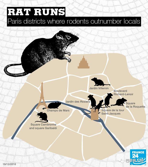 , 这很法国！渲染全城的灭鼠行动出现大反转！鼠有鼠权？！不能灭！, My Crazy Paris