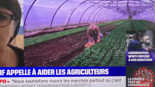 , 在家无事？法国农业部长叫你去种田！20万个岗位空缺！, My Crazy Paris