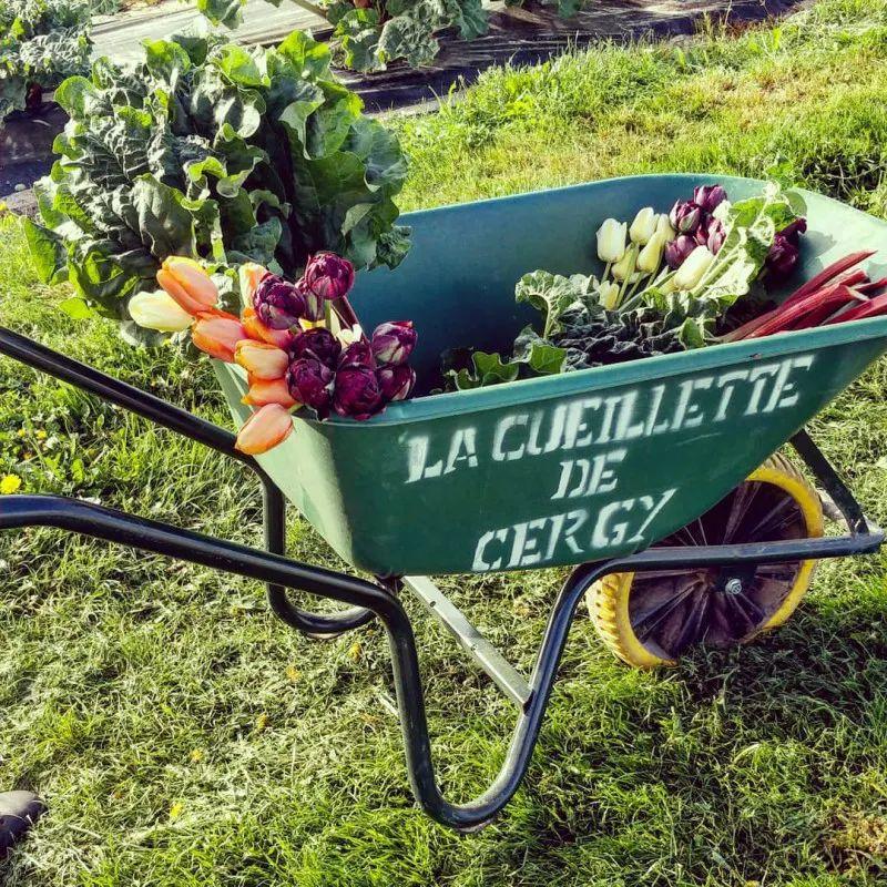 , 汇总｜巴黎近郊可以采摘最新鲜水果蔬菜和鲜花的农场！, My Crazy Paris