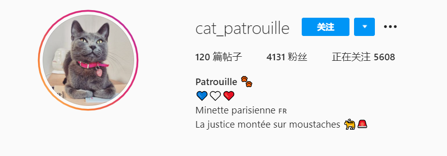 , 我叫海盗，曾四处流浪，如今是巴黎警察局网红“灰猫警长”！, My Crazy Paris