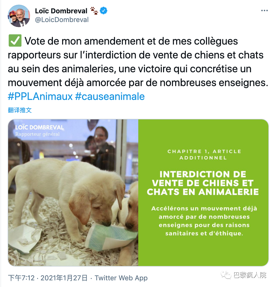 , 欧洲宠物遗弃第一的法国，将禁止商店出售猫猫狗狗了？, My Crazy Paris