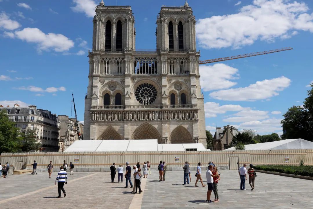 , 为修复巴黎圣母院塔尖，竟要砍1000颗百年橡树？！, My Crazy Paris