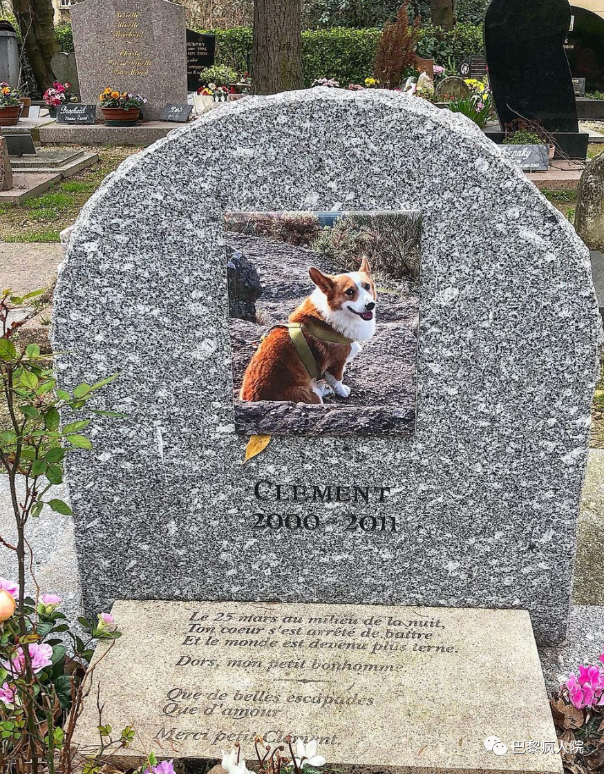 , 世界首个宠物墓地就在巴黎！每块墓碑背后都是一个温暖的故事&#8230;, My Crazy Paris