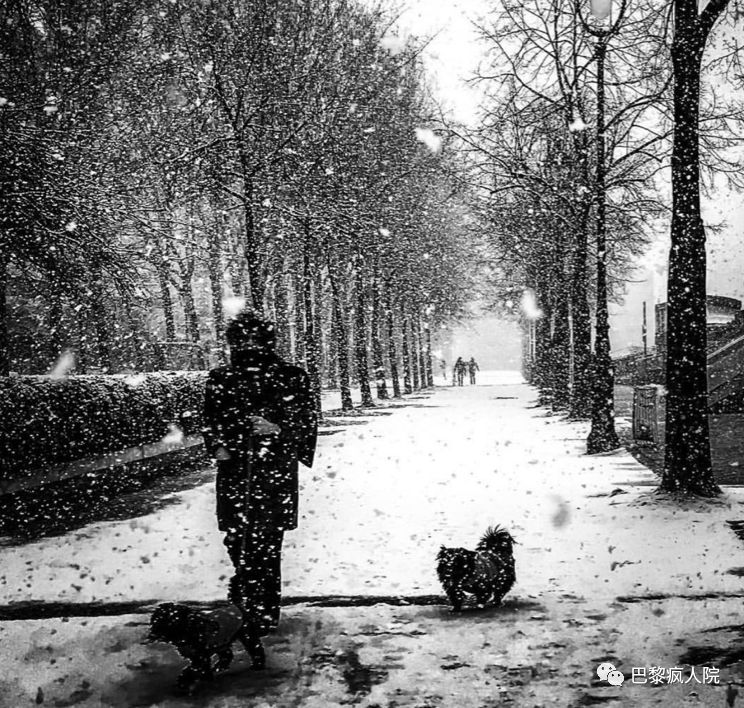 , 下周全法大降温！今冬的第一场雪要来啦？！, My Crazy Paris